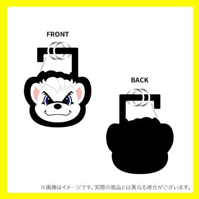 サンディーアセチカラビナ